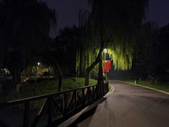 -青枫公园