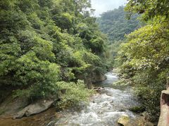 -广州市石门国家森林公园