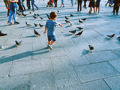 -圣马尔谷圣殿宗主教座堂