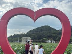 -红山村