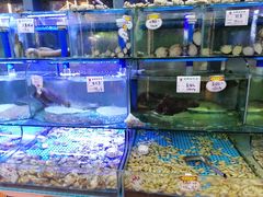 水产区-晶渔坊·海鲜私房菜(东夷小镇店)