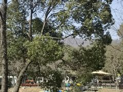 -紫金山山顶公园