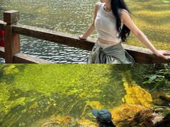 -少华山国家森林公园