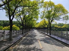 -北宫国家森林公园