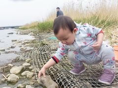 -绿堤公园