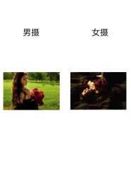-樱花婚纱摄影