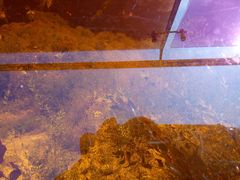 -山西通天峡景区