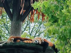 -无锡动物园·太湖欢乐园