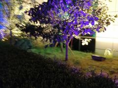 -东北大厦酒店(沈阳北站青年大街店)