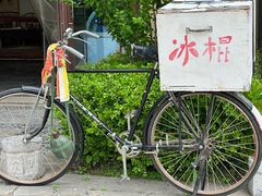 -诗经里
