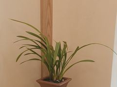 -南堂小馆·川菜馆(德商国际店)