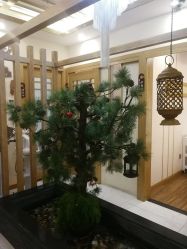 -芳朵美容养生SPA