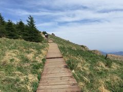 -白草畔自然风景区