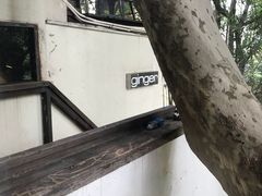 -Ginger(兴国路店)