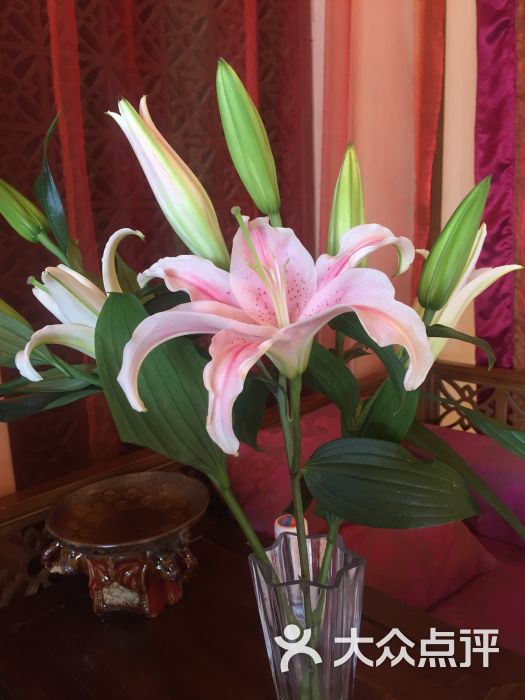 紫琪尔丰胸美胸机构(优品道店)图片 - 第1张