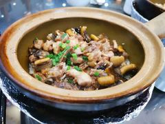 -红星光发煲仔饭(文海店)