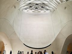 -哈尔滨大剧院