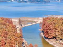 -四明山国家森林公园