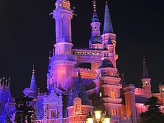 -上海迪士尼度假区