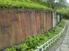 -重庆彩云湖湿地公园