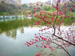 -重庆彩云湖湿地公园