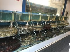 -同道蒸汽海鲜烧烤自助(刘庄夜市店)