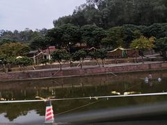 -满記土窑烧鷄波浪山莊
