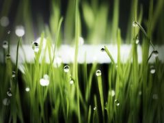 -沈胖子音乐烤吧·炒菜·龙虾(环城东路店)