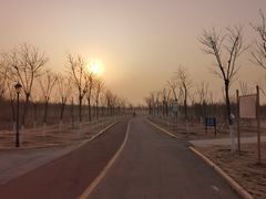 -天津东丽湖风景区