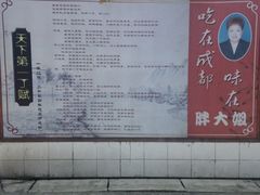-胖大姐黄辣丁鱼庄(新津店)