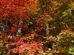 -本溪老边沟风景区