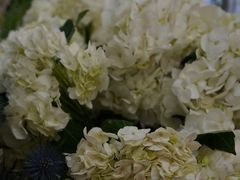 -知物癖(牛王庙店)