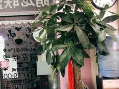 -唐小姐の猫狗洗护·购宠旗舰店(周浦万达店)