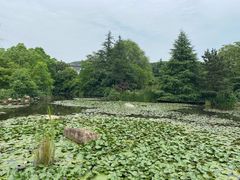-白马涧龙池景区