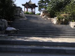 -大兴滨河森林公园