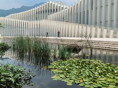 -中国宣纸文化园