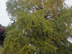 -金堂县云顶石城风景区