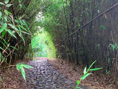 -白塘生态植物园