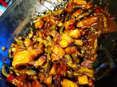 -华盛园卷子王农家菜水库鱼