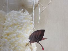 -BLACKSWAN黑天鹅(环球店)