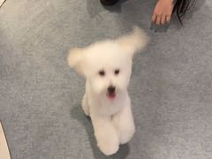 -奈斯宠物医院·核磁CT·异宠专科·内镜(中南店)