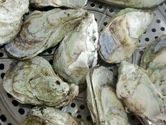 桑拿蚝-蚝专家(北滘店)