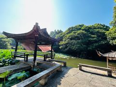 -兰亭风景区