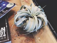 -KYO COFFEE(胶州路店)