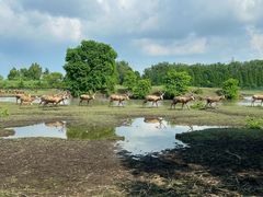 -溱湖国家湿地公园