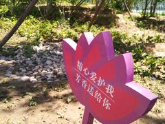 -回龙观体育文化公园