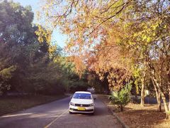 -胜华驾校·小猫学车(银都店)