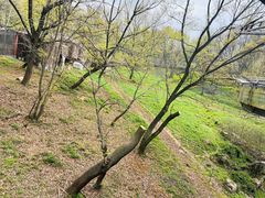 -合肥野生动物园