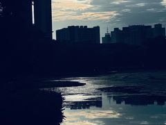 -文华公园(禅城区)