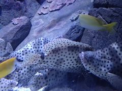 -成都浩海立方海洋公园